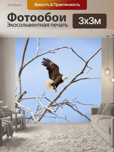Фотообои Орел