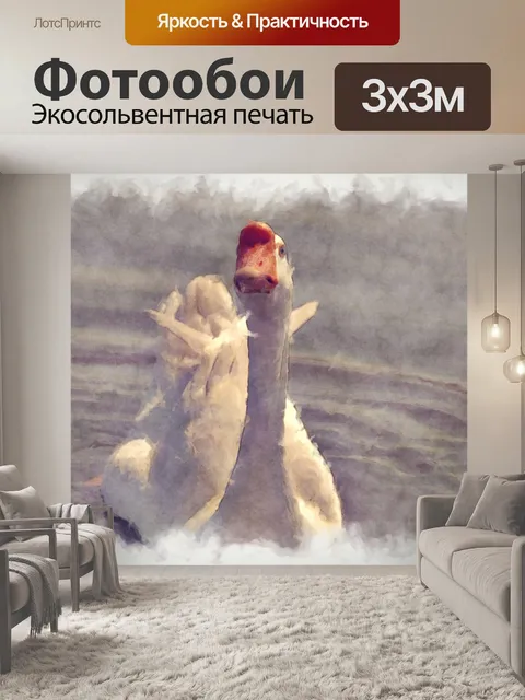 Фотообои лебедь