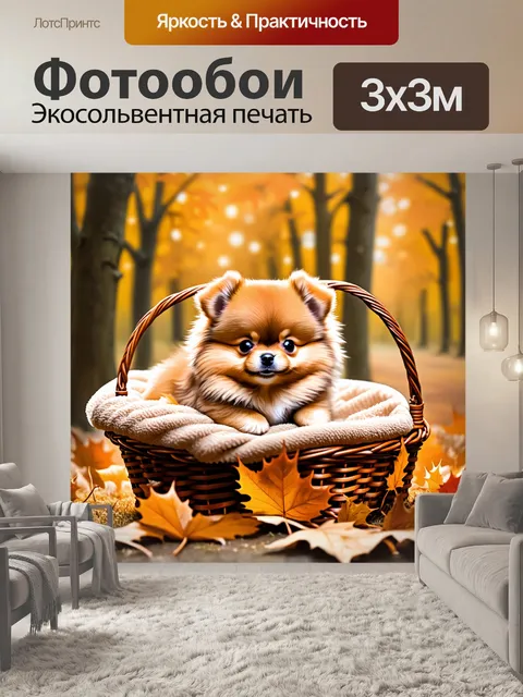 Фотообои маленький щенок померанского шпца лежит в корзине с легким одеялом