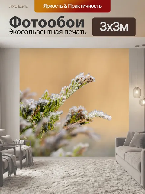 Фотообои Утренний мороз