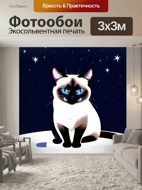Фотообои сиамский кот с округлой головой на фоне таинственного ночного неба, усыпанного звездами