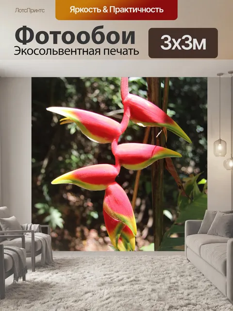 Фотообои Райская птица