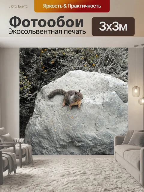 Фотообои Белка