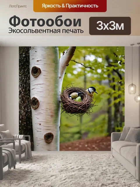 Фотообои береза с гнездом птицы, ветки изогнуты и сплетены