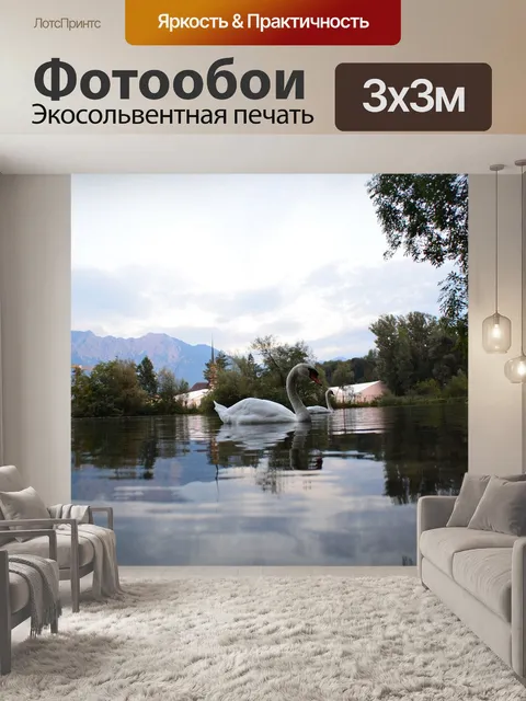 Фотообои Лебедь