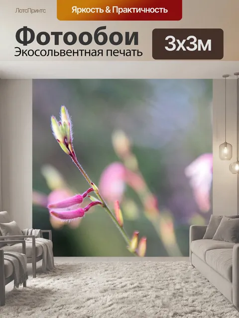 Фотообои Нежные розовые цветочные бутоны