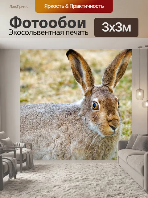 Фотообои Зайчик