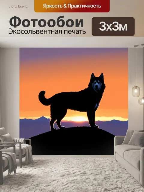 Фотообои хаски стоит на верхушке холма, его фигура silhouetted на фоне заката
