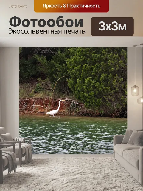 Фотообои Большая белая белая цапля в озере
