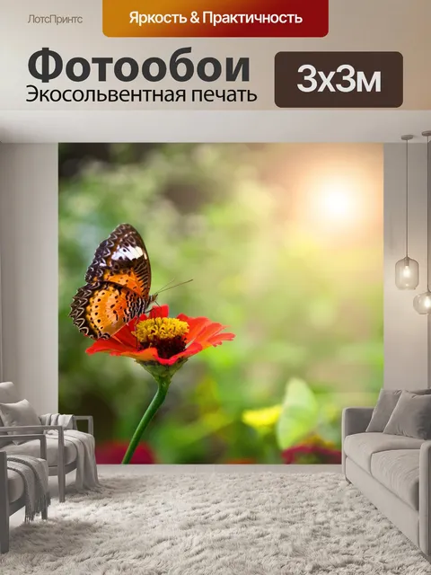 Фотообои Бабочка