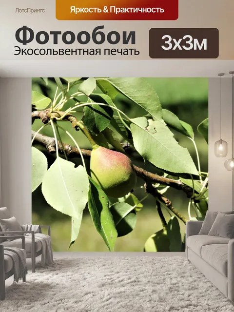 Фотообои Груша на дереве