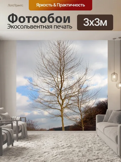 Фотообои Голые зимние деревья