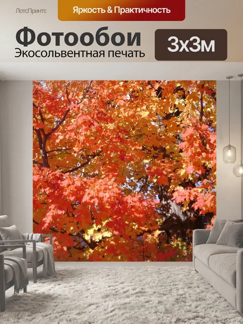 Фотообои Осень оранжевый
