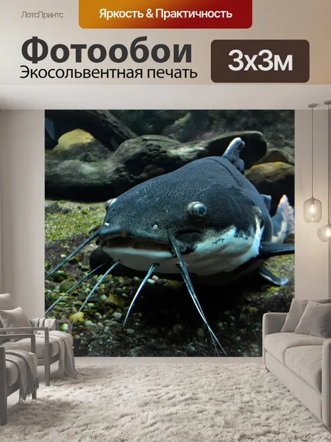 Фотообои Кошка рыбы