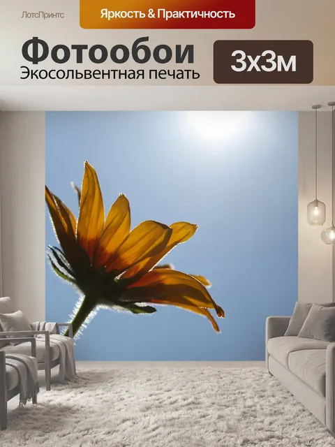 Фотообои Цветок
