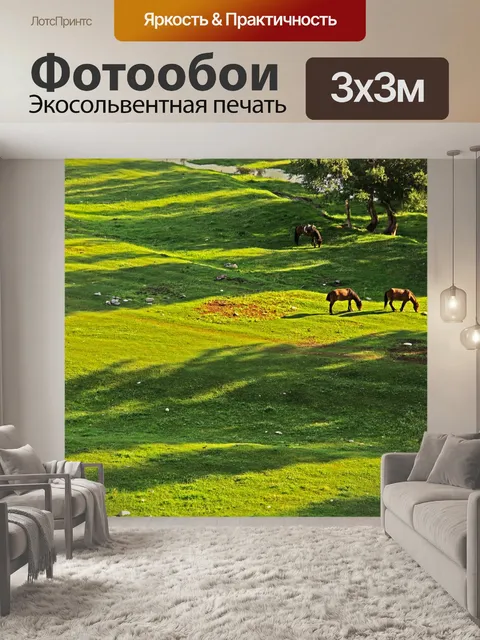 Фотообои Лошадь