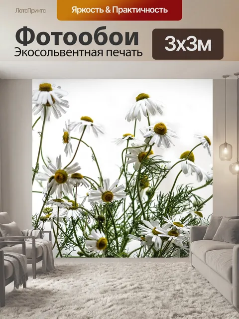 Фотообои Ромашка