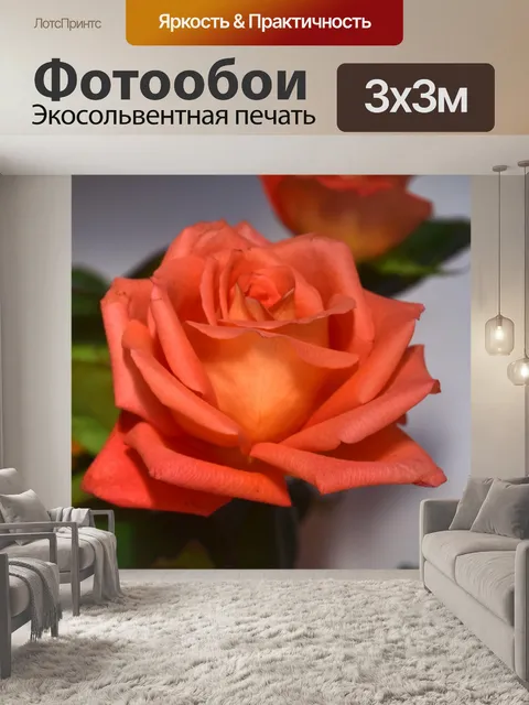 Фотообои Роза в позе 14