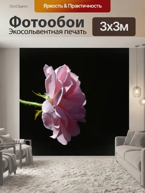 Фотообои Розы