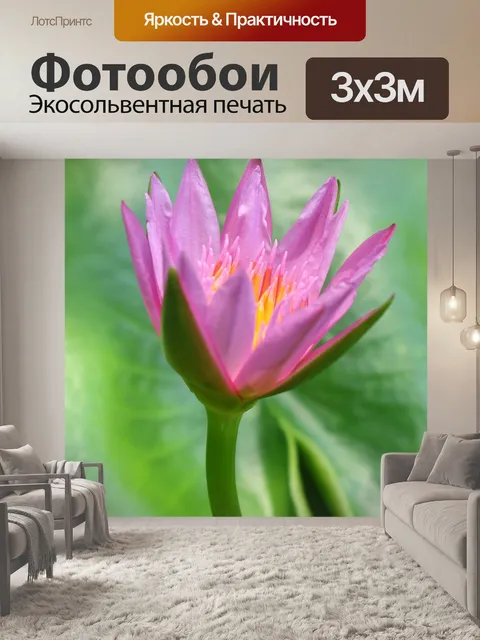 Фотообои Милый
