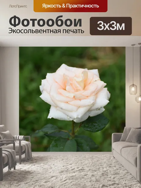 Фотообои Роза