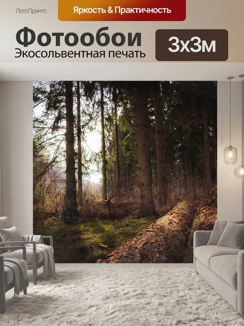 Фотообои Лес