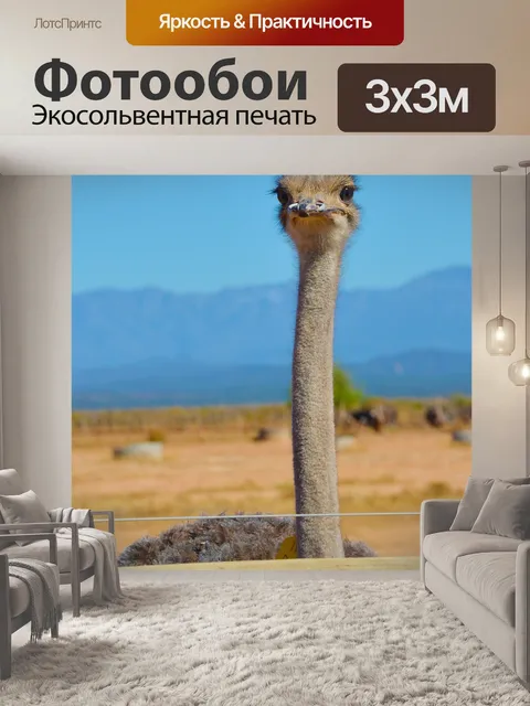 Фотообои Штраус