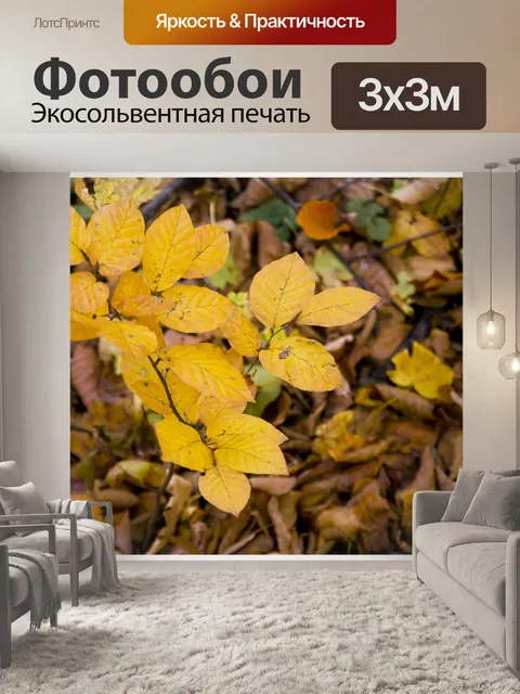 Фотообои Падение