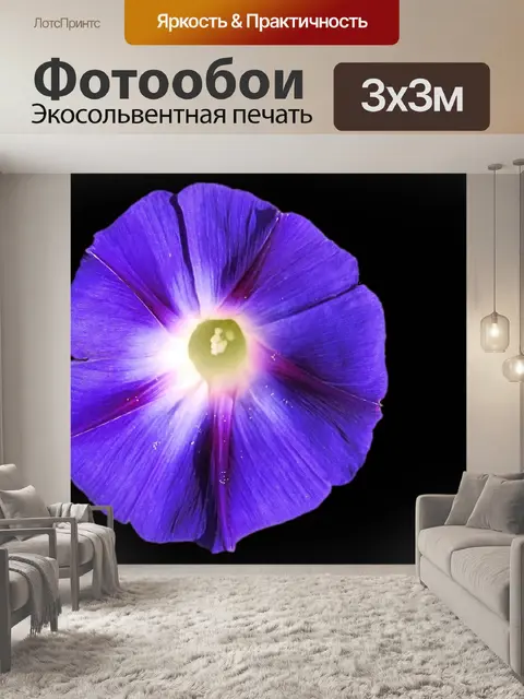 Фотообои Великолепные ветры