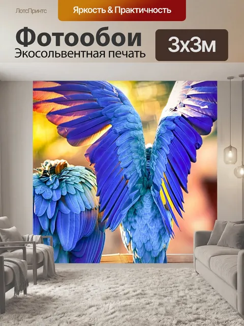Фотообои Цвета