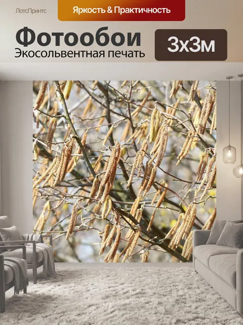 Фотообои Мужской blütenkätzchen