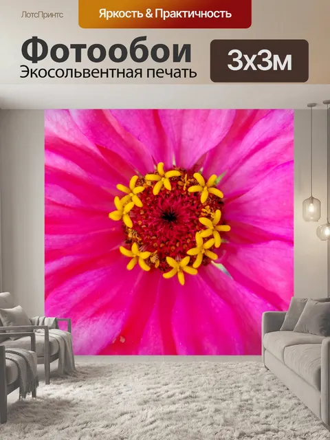 Фотообои Цинния цветы