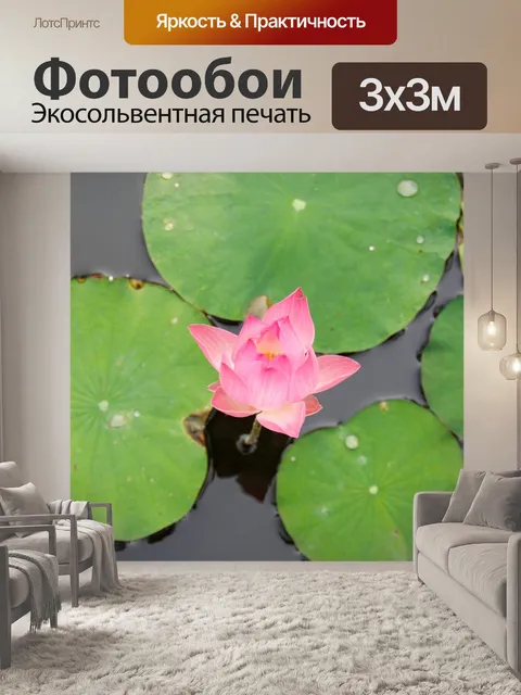 Фотообои Водяная лилия