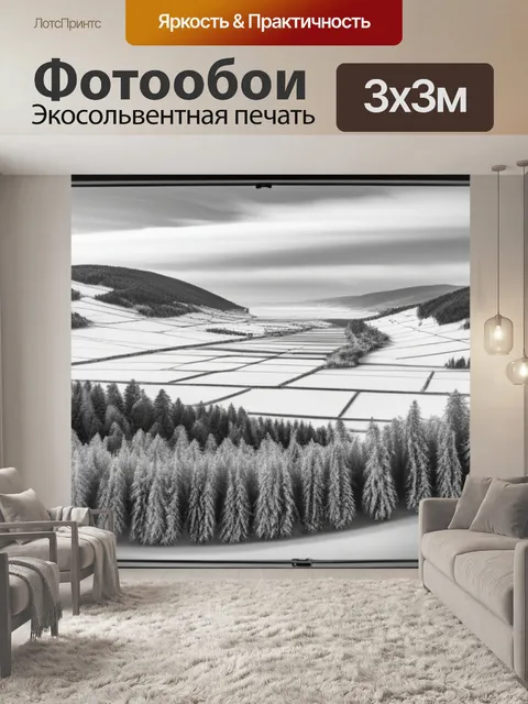 Фотообои пейзаж с окна зимний чернобелый