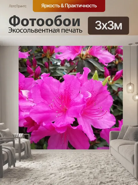 Фотообои Розовый