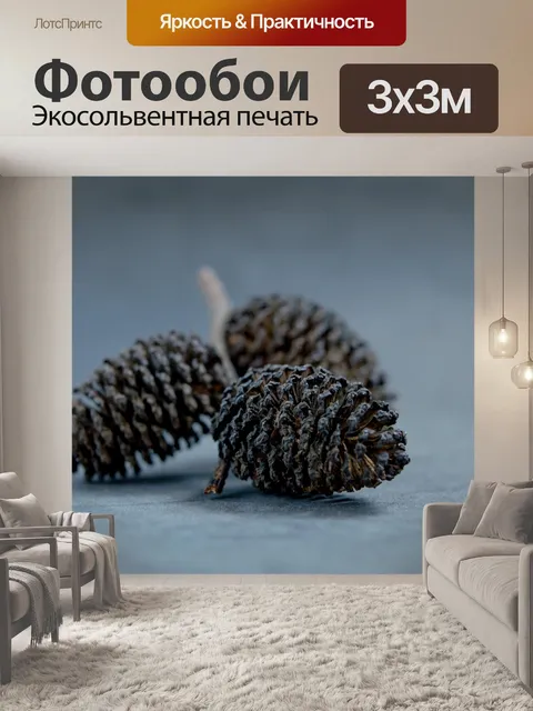 Фотообои Хвойный