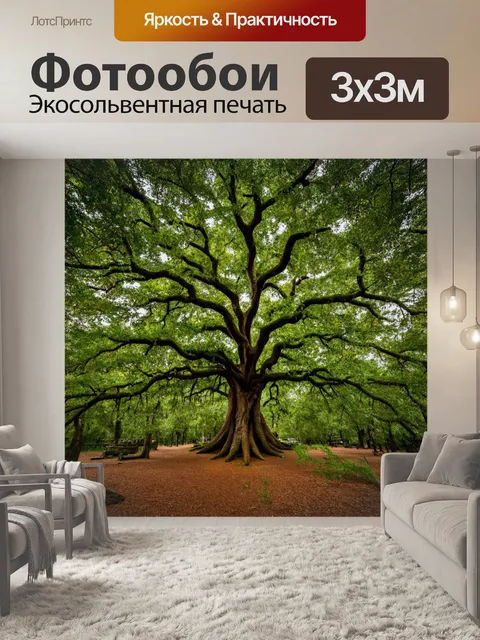 Фотообои лес с мощными дубами, величественные и старые