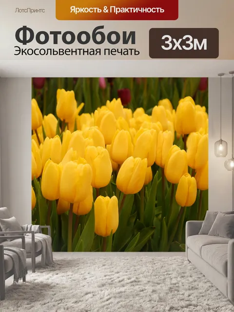 Фотообои тюльпаны