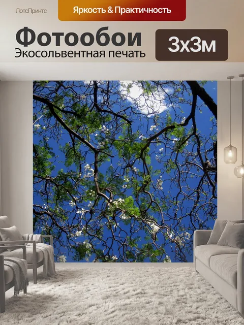 Фотообои белый Jakaranda цветение