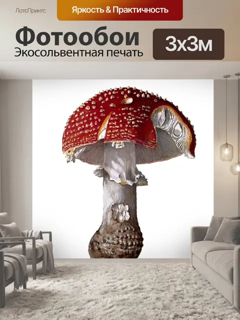 Фотообои Винтаж Клипарт Гриб Чемпион