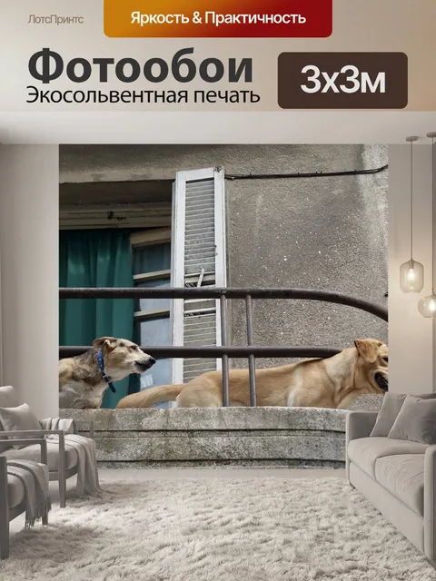 Фотообои Собаки на балконе