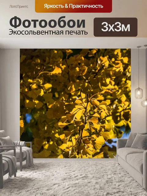 Фотообои Золотые листья деревьев