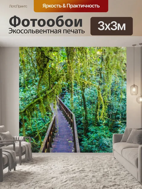 Фотообои Тропический лес в Дои Интанон, Чиангмай