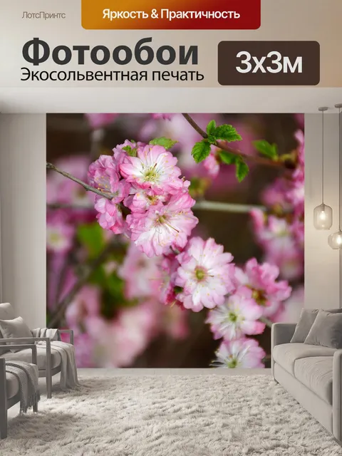 Фотообои Цветение сакуры