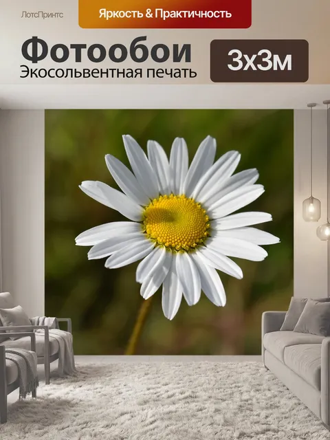 Фотообои Цветок