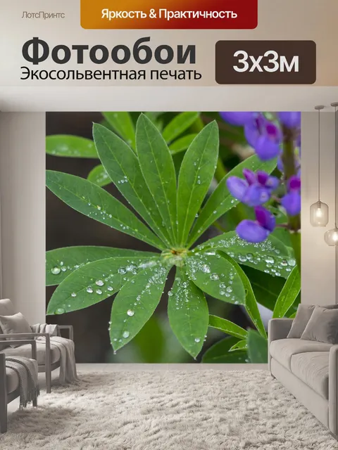 Фотообои Листья