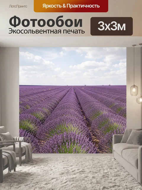 Фотообои Лавандовое поле под облачным небом