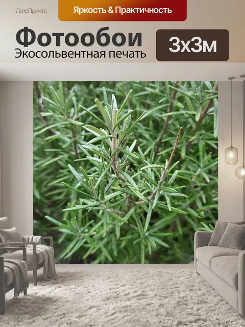 Фотообои Розмари