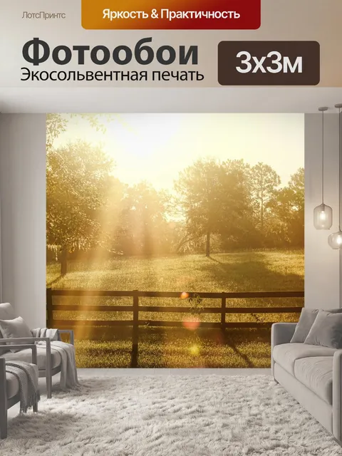 Фотообои Дневной перерыв