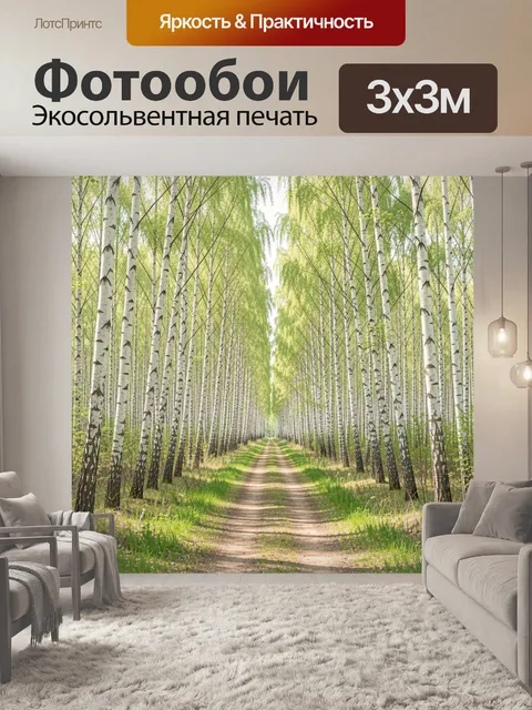 Фотообои Берёзовая аллея в лесу